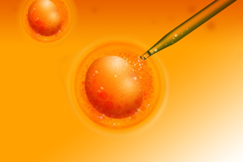 がんの予防と免疫細胞療法